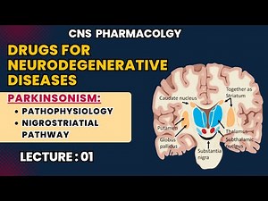 Parkinson’s Disease : Pathophysiology | Nigrostriatal Pathway | CNS Phamracology Lecture L1