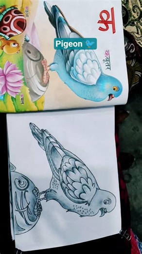 Simple Pigeon Drawing 🐦@ravivarun6137#shorts#shortvideo#short#art #artshorts#shortsvideo#shortsfeed