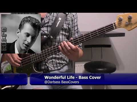 [Black] Wonderful Life - Bass Cover 🎧 (instrumental / with bass tabs pdf)