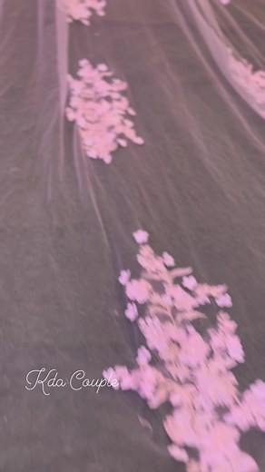 7.4K views · 83 reactions | Behind the scene Kda weddings and Event services #KdaCouple | KDA Weddings and Event Services | Facebook