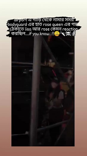 Nymphaea Nouchali: A Deep Dive into the Beauty of Water Lilies