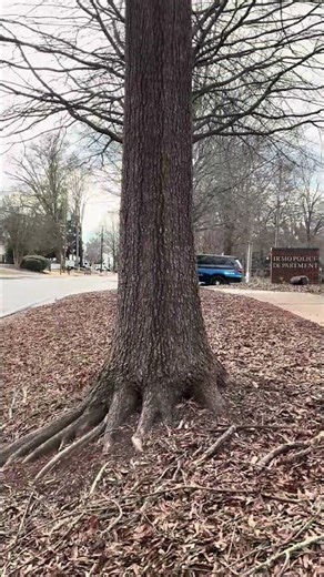 X4 Irmo PD Uint’s going code 3 to possible robbery ￼