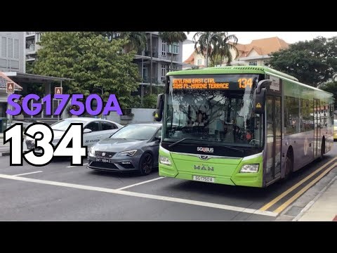 [SBST] (Full Body Ad) 🟢 SG1750A on 134