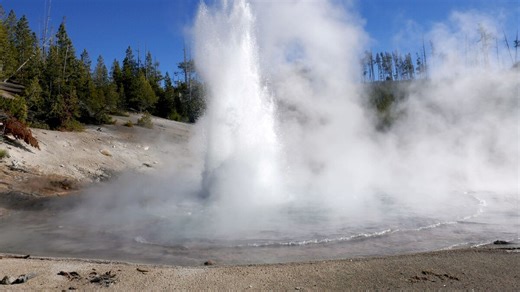 ¿Alerta en Yellowstone? El géiser ácido más grande del mundo se “despierta” y estalla después de cinco años