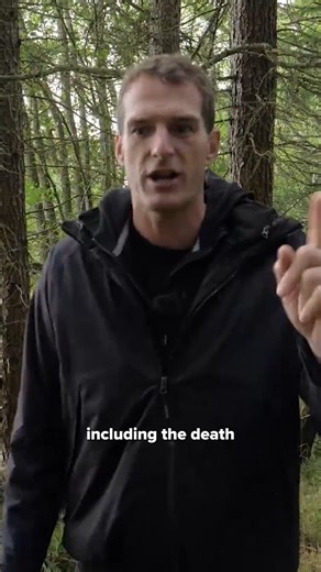 History Hit on Instagram: "How did Simon Fraser become chief of Clan Fraser? The young Simon Fraser had a weaker claim, but would still become chief, and has a very complex story that you can find out more about in the film The Mystery of the Headless Man available to watch on History Hit. In this video you can see a descendent of Simon, Sarah Fraser, who has written a biography of the mysterious man... 🎥The Mystery of the Headless Man available to watch on History Hit."