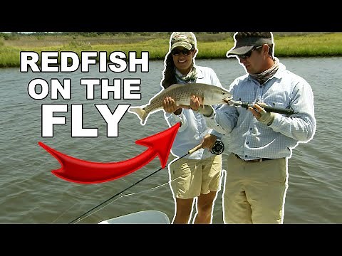 Catching Redfish On The Fly In The Salt Marsh