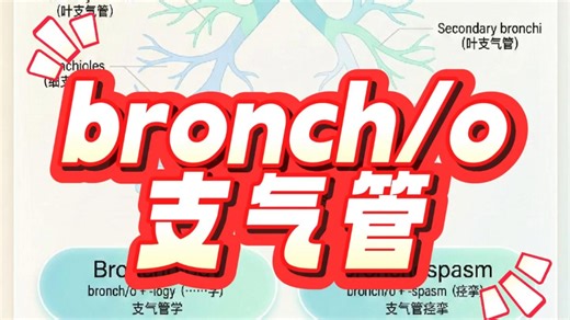 一分钟词根速记bronch/o支气管,医学英语医学生医护护理必备词根词缀与呼吸系统。