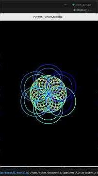 Create amazing Circles with Python Turtle!