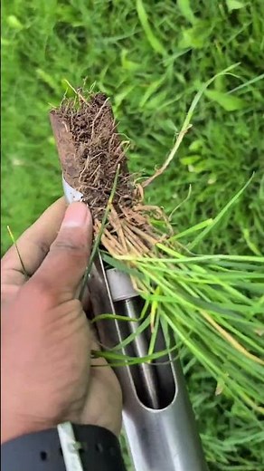 What is basic soil infiltration and what is it used for? #garden #plants #agriculture