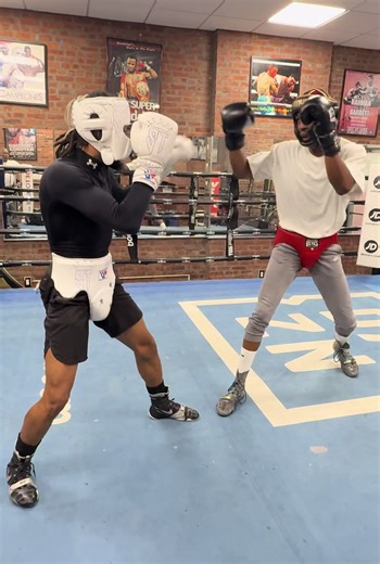 Mayweather's Boxing Techniques Explained