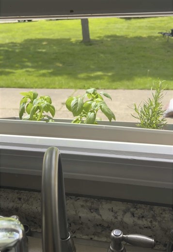 Transforming My Kitchen Window with a Beautiful Herb Garden