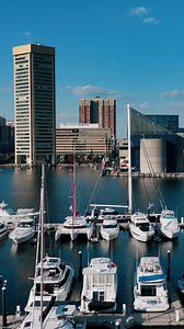 Restaurant Week is here and our downtown is buzzing with flavor! With over 100 top restaurants participating, there’s a dish for every palate. Enjoy exclusive prix-fixe menus and discover culinary gems in the heart of our city. Hurry, book your table at BaltimoreRestaurantWeek.com and be part of this delicious tradition. Let’s celebrate our local dining scene together! #BaltimoreEats #RestaurantWeek #DowntownDelights #baltimore #eatlocal | Charm TV Baltimore