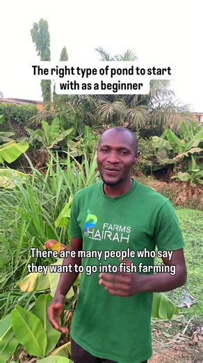 Best Pond Types for Successful Catfish Farming