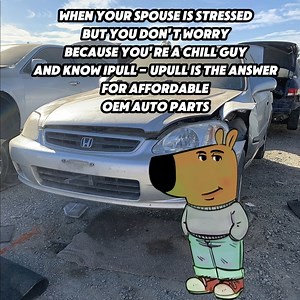 We've got your back! | iPull-uPull Auto Parts