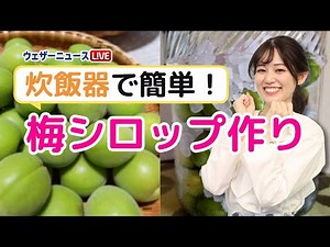 【必見】炊飯器で工程を短縮 簡単梅シロップ作り