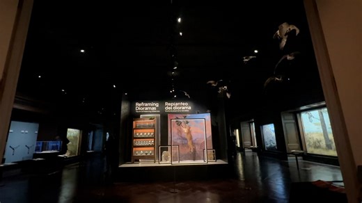 Natural History Museum of LA County's new hall delves into history of dioramas