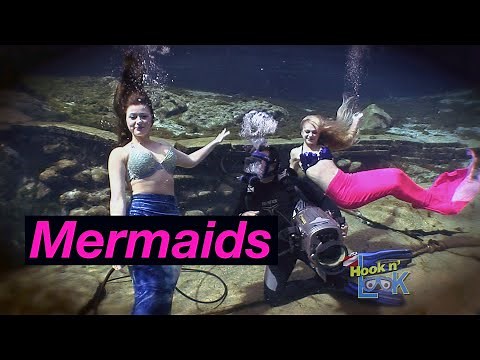 Weeki Wachee Mermaids