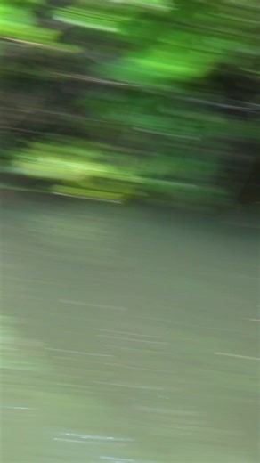 Insanity! ⚡️ | SBS Outdoors