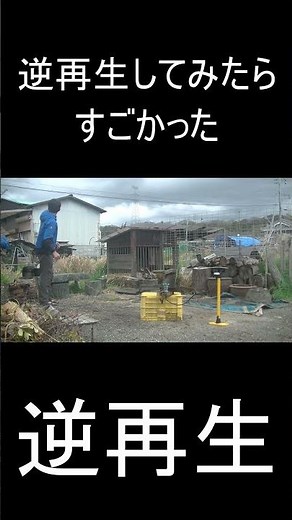 ペットボトルロケットの発射を逆再生したらすごかった #実験 #ペットボトルロケット #工作 #自由研究 #作品制作 #逆再生