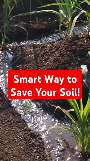 Contour Planting: Smart Way to Save Your Soil! 📐🌾
