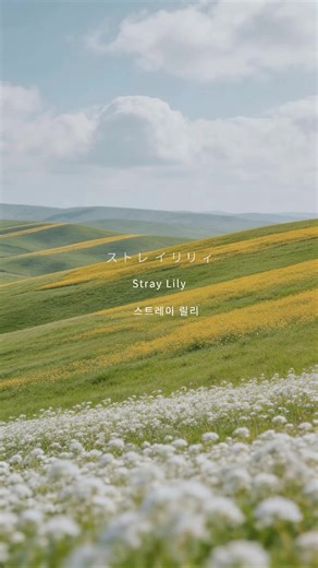 Yobahi - New Song Demo ② (Japanese Music)