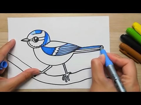 Jak se kreslí sýkorka - jednoduché kreslení pro děti