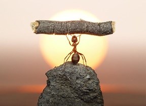 Análise SWOT ou Análise FOFA: Conceito e exemplos da Matriz SWOT