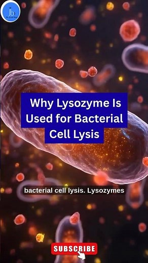 Role of Lysozyme in Bacterial Cell Lysis| Simple Explanation for Biotech Students #biology #biotech