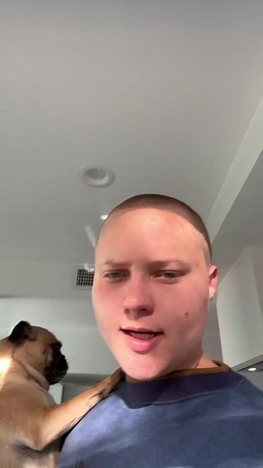 How to Hold a Pug Like a Baby: Step-by-Step Guide