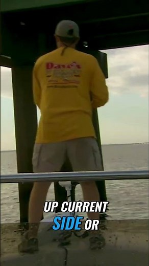 Fishing Secrets: Maximize Bites Near Pilings