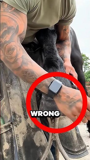 This Owner Helped His Injured Horse