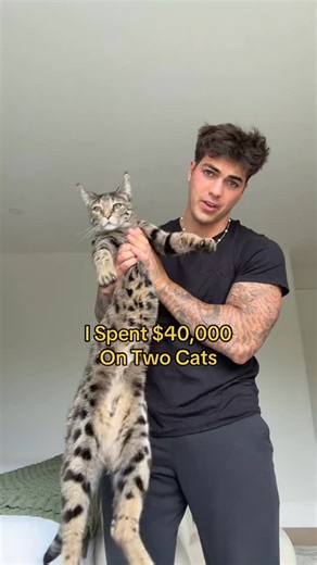 Thomas Petrou on Instagram: "Not my brightest financial decision"