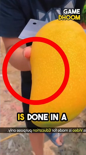 1.2K views | China’s Unique Plant Hybridization Technique ✨ | Gaming Dhoom | Facebook