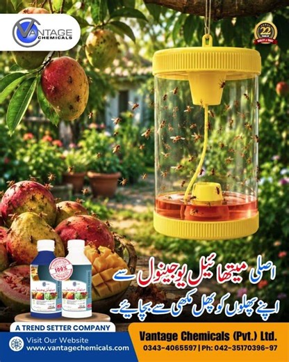 Fruit Fly Control by Vantage Chemicals | Protect Orchards & Harvest