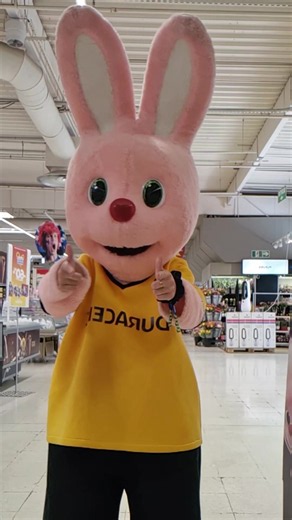 POV : Tu fais mascotte à Carrefour Laval — journée et pause repas