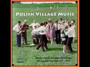 Various ‎– Polish Village Music : 60's Polka Folk Traditional Songs Collection LP ALBUM
