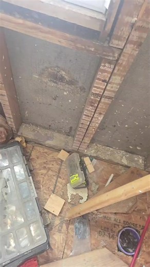 Silky C. Johnson on Reels