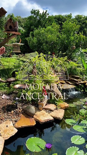 ¡Bienvenidos a Morada Ancestral! 📍Cl 15N # 73 bis-98 Granada - Cali En el marco de la COP 16, celebramos la biodiversidad y la diversidad cultural que nos unen. Te invitamos a disfrutar de un espacio pensado para la familia y todos aquellos que deseen saborear las delicias ancestrales de nuestras raíces colombianas, llevadas a la alta gastronomía. ¡Ven y vive una experiencia culinaria única con nosotros! #cop16 #restaurantesencali #fogondeleña