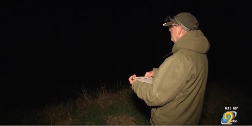 Yearly frog and toad call surveys underway, why it matters