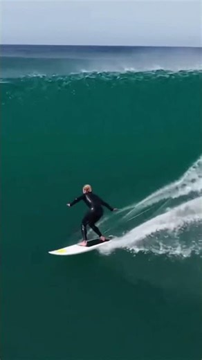 This shark just pushed a surfer off his board