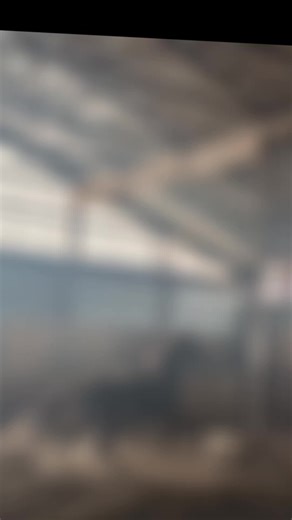 Whisper Rock: Happy American Saddlebred Stallion