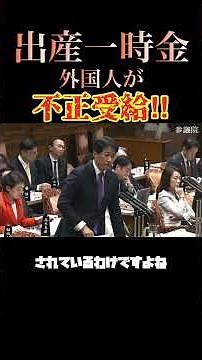 [Foreigners First] Why?! The lump-sum birth and childcare allowance is paid even when foreigners ...