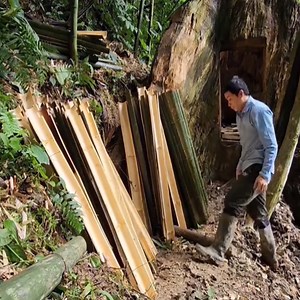 1.5M views · 10K reactions | Building A Tree House. #camp #building #survival #build #bushcraft #camping | Camping videos Survival | Facebook