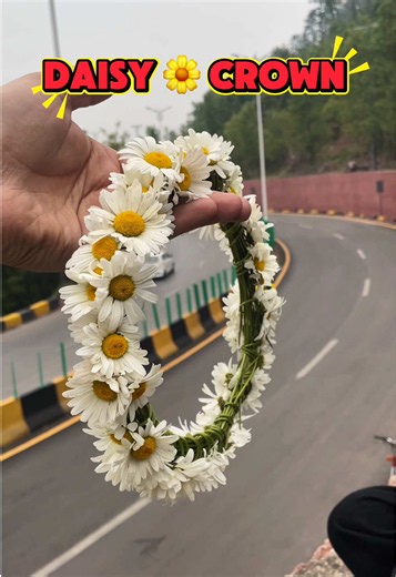 Beautiful daisies crown making by self at murree 😍 It was a good experience . . #foryou #daisies #crown #flowers #murree