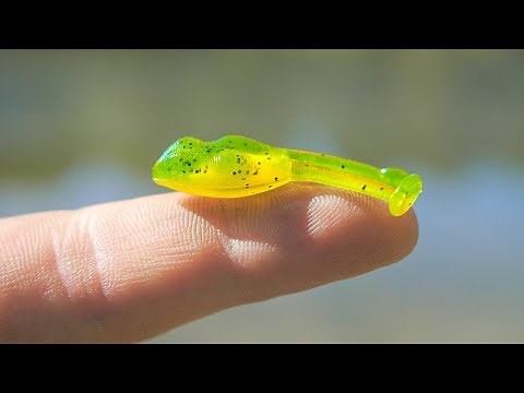 Fishing with MICRO Frogs!!