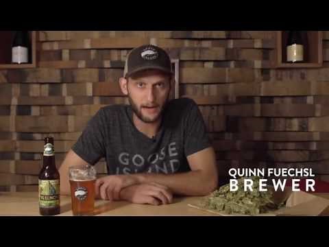 About Our Hops - Cascade