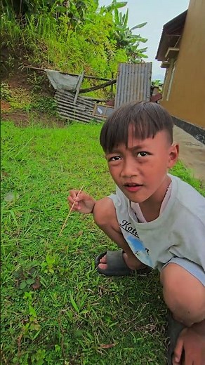 Fiki plays with sensitive plant leaves #trendingshorts