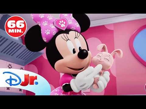 LOS CUENTOS DE MINNIE: ¡Las mascotas de Minnie y Daisy! 😺🩷 | RECOPILACIÓN | ‪@DisneyJuniorES‬