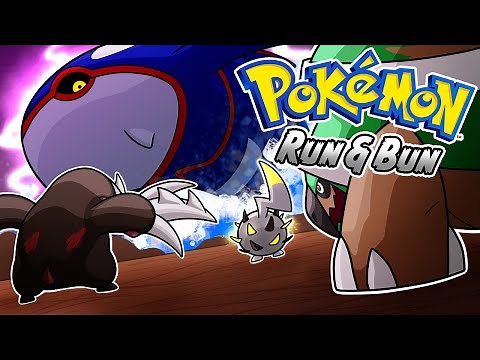 DEFEATING RUN & BUN AGAIN