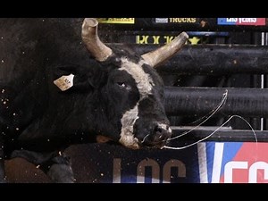 Brant Atwood bucks off Rock & Roll